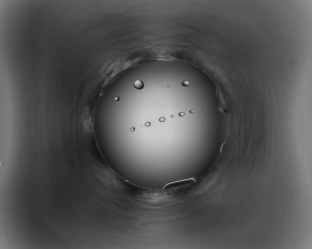 X0000088220384200705221809