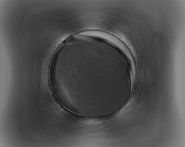 X0000088220385200705221808