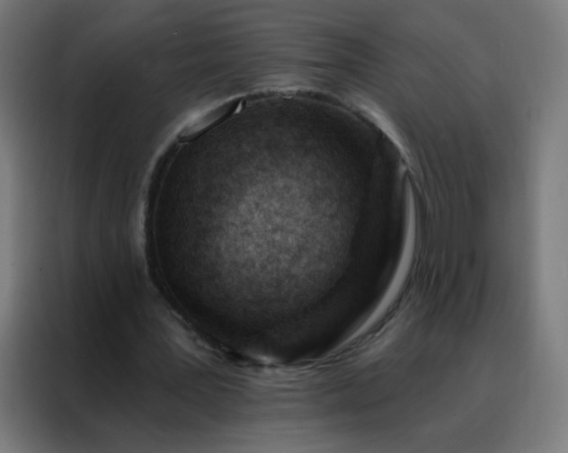 X0000088220387200705221808