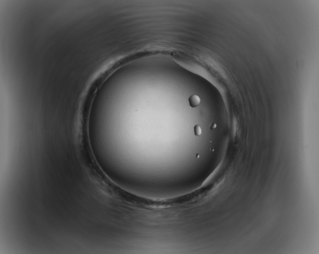 X0000088220388200705221808