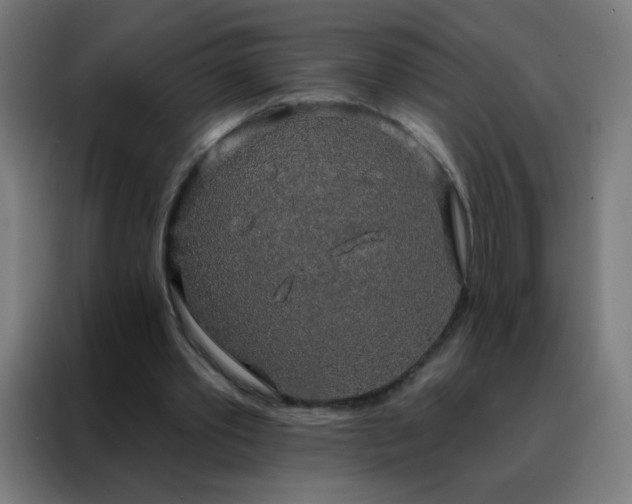 X0000088220389200705221808