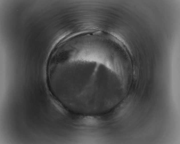 X0000088220390200705221808