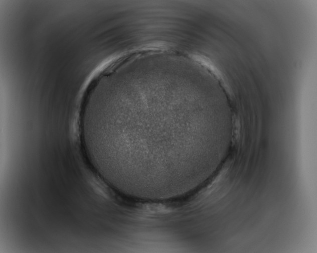 X0000088220392200705221808