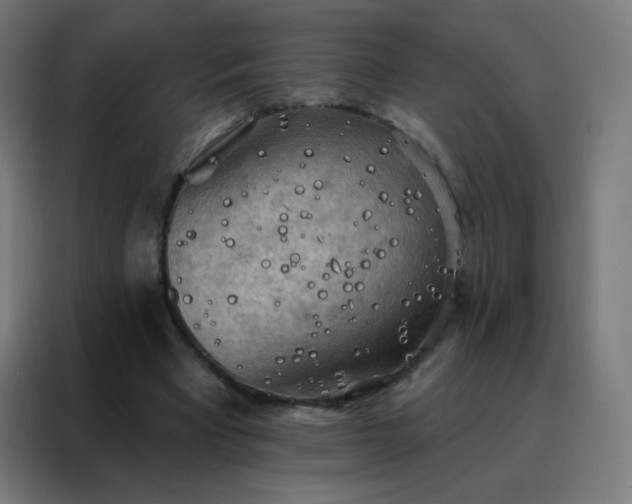 X0000088220393200705221808