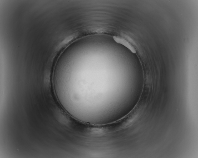 X0000088220394200705221808