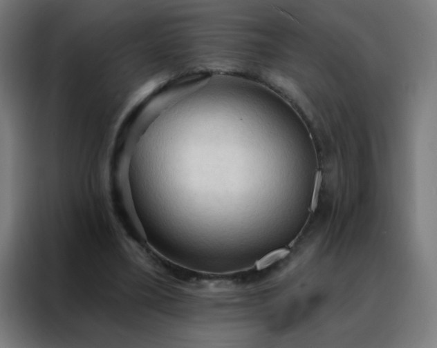 X0000088220395200705221808