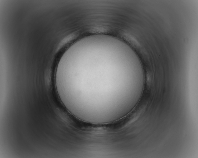 X0000088220396200705221808