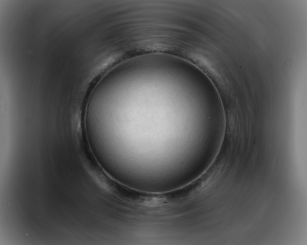 X0000088220398200705221808