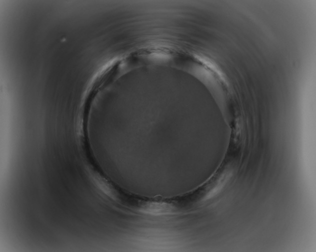 X0000088220399200705221808