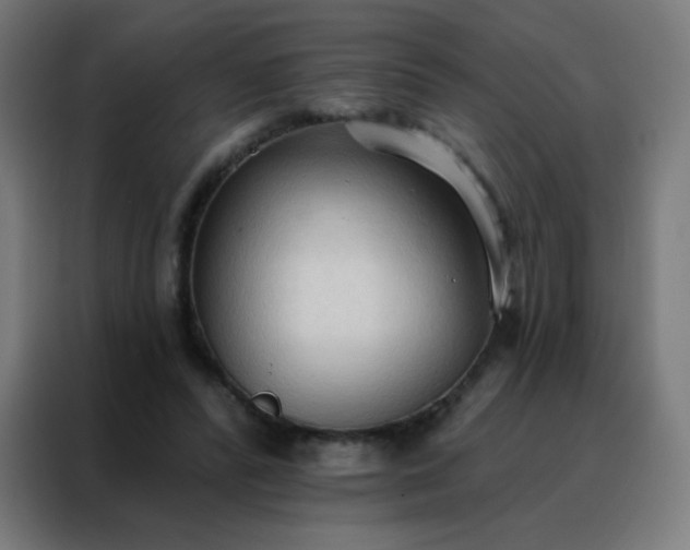 X0000088220400200705221808