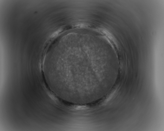 X0000088220401200705221808