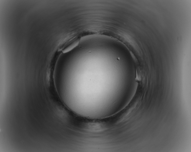 X0000088220404200705221808