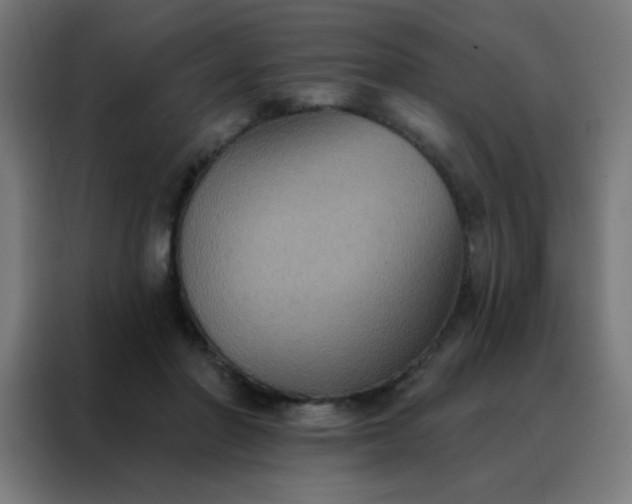 X0000088220406200705221808