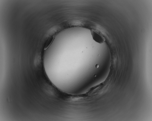 X0000088220407200705221808