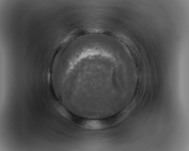 X0000088220409200705221808