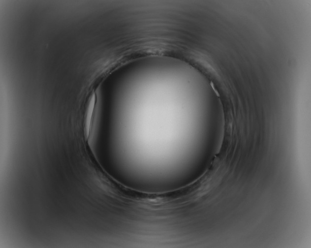 X0000088220411200705221808