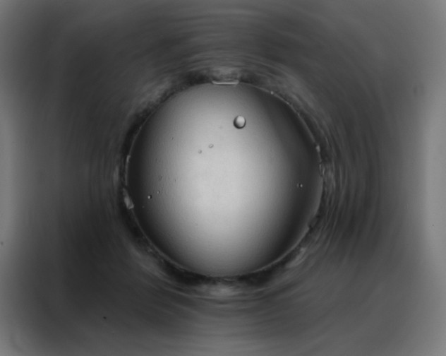 X0000088220412200705221808