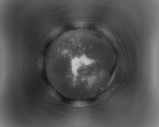 X0000088220413200705221808