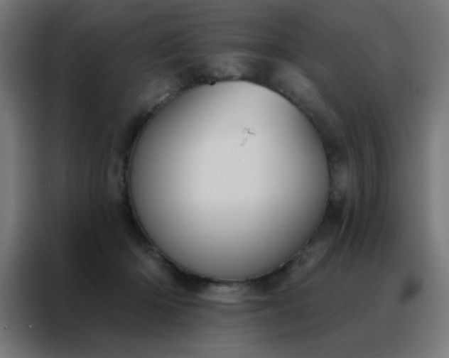 X0000088220414200705221808