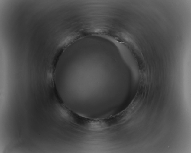 X0000088220415200705221808