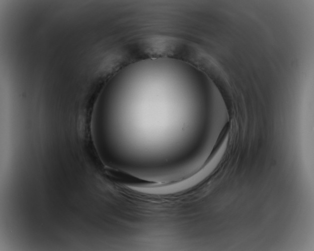 X0000088220416200705221808