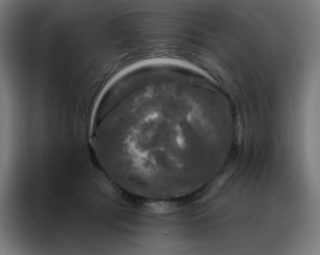 X0000088220417200705221808