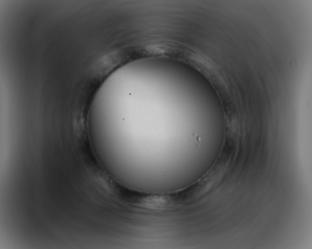 X0000088220418200705221807