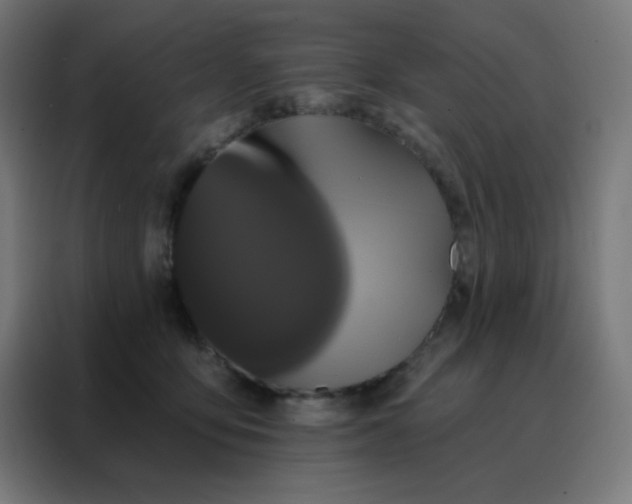 X0000088220419200705221807