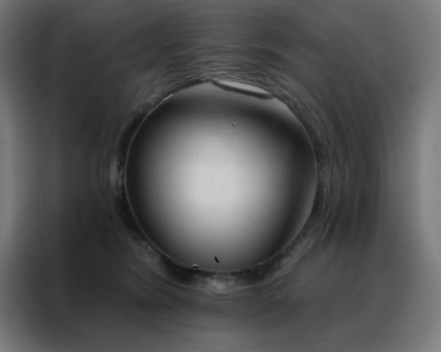 X0000088220420200705221807