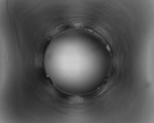 X0000088220421200705221807