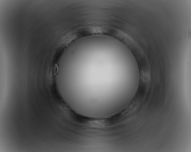 X0000088220422200705221807