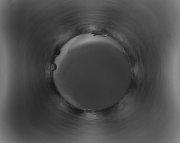 X0000088220423200705221807