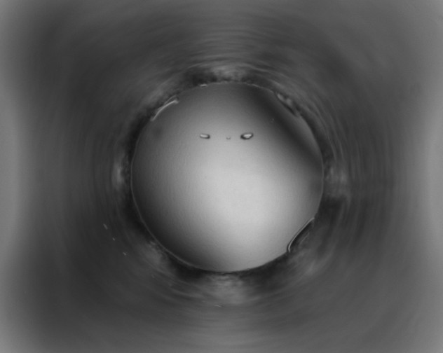 X0000088220424200705221807