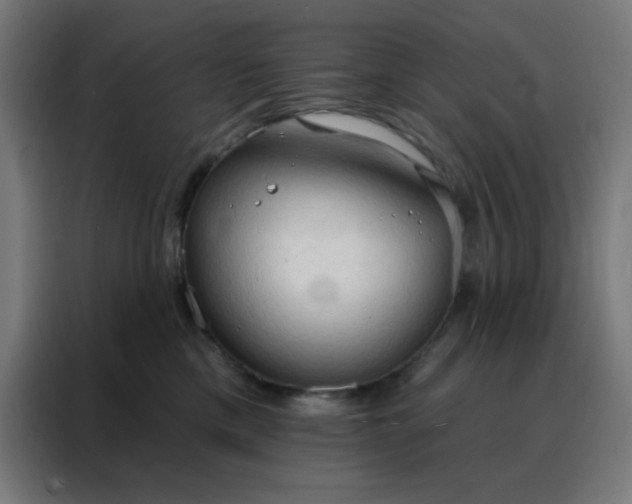 X0000088220425200705221807