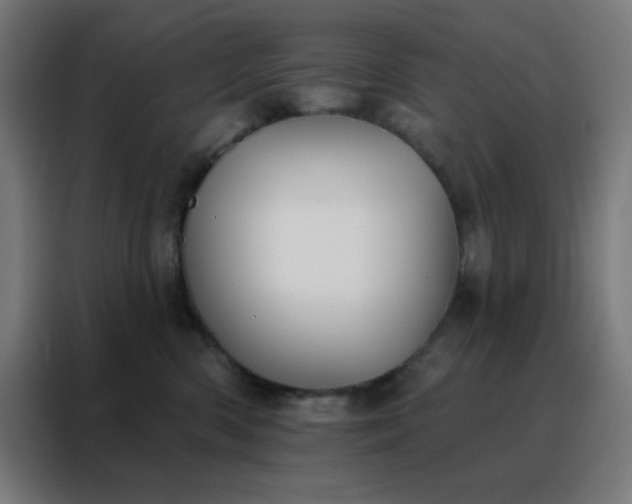 X0000088220426200705221807