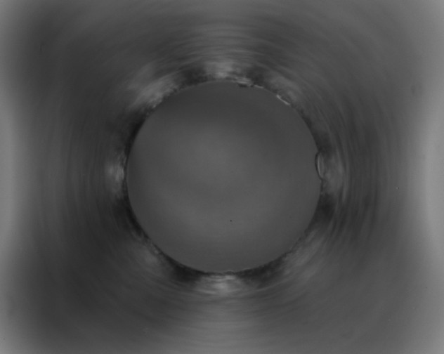 X0000088220427200705221807