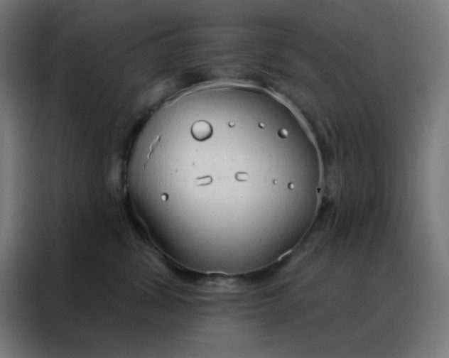 X0000088220428200705221807