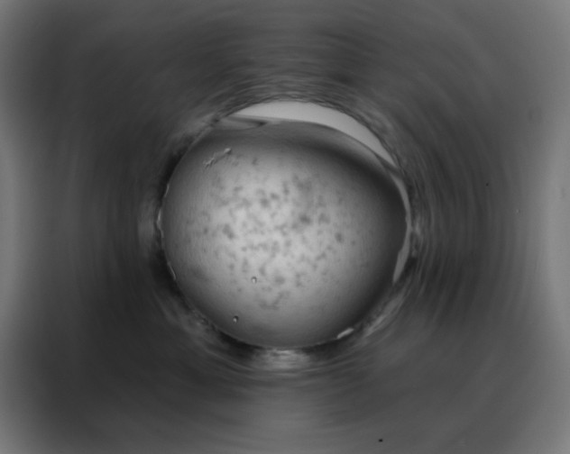 X0000088220429200705221807