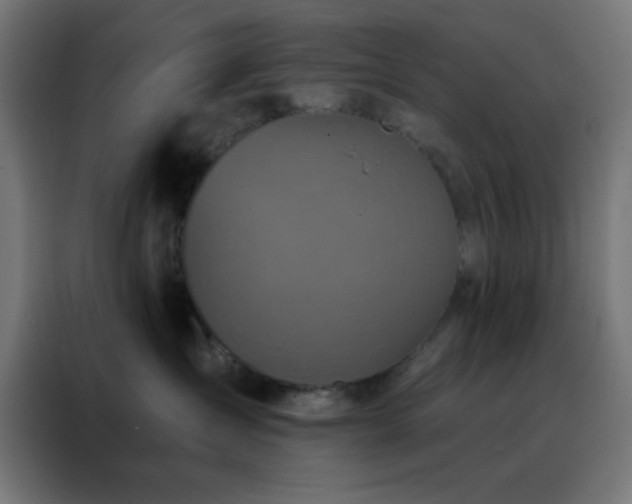 X0000088220431200705221807