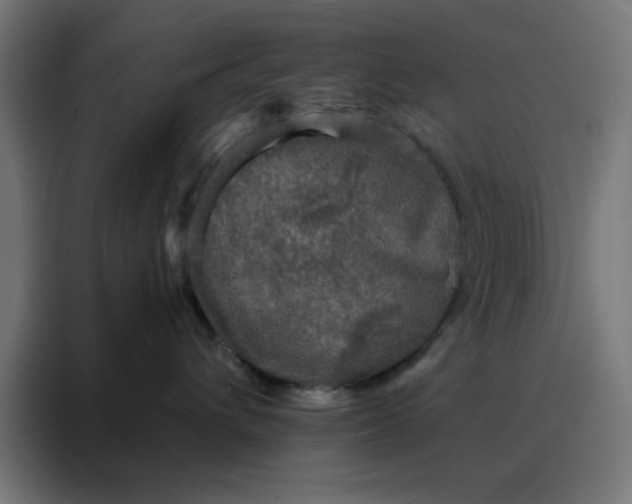 X0000088220432200705221807