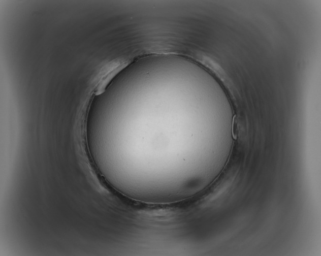 X0000088220433200705221807