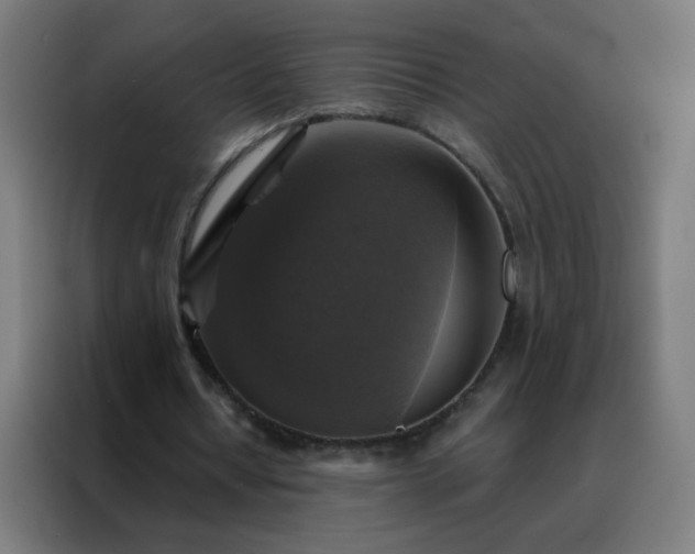 X0000088220434200705221807