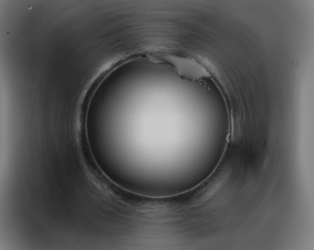 X0000088220435200705221807