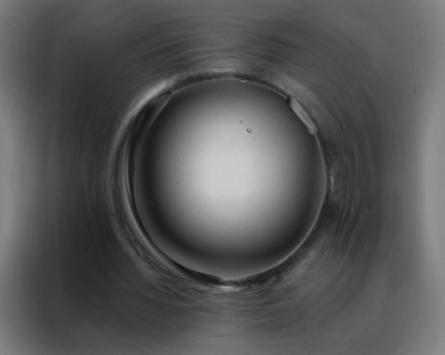 X0000088220436200705221807