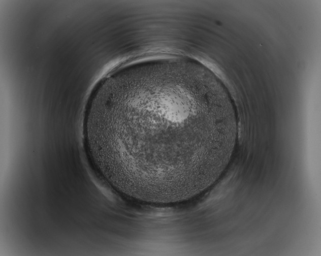 X0000088220438200705221807