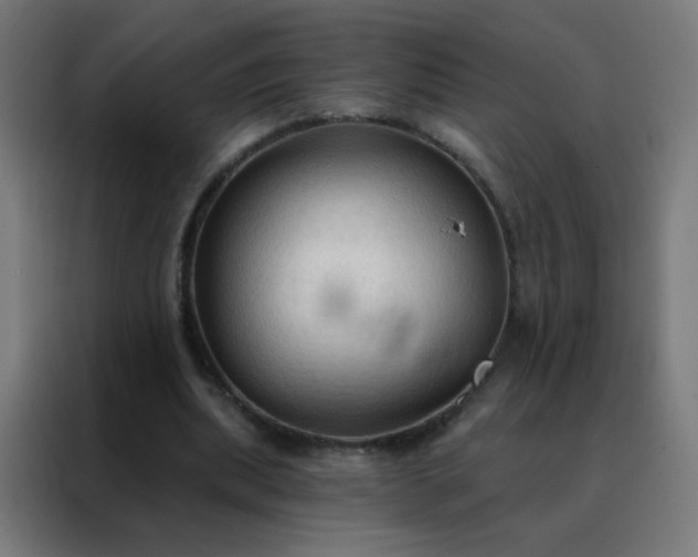 X0000088220439200705221807