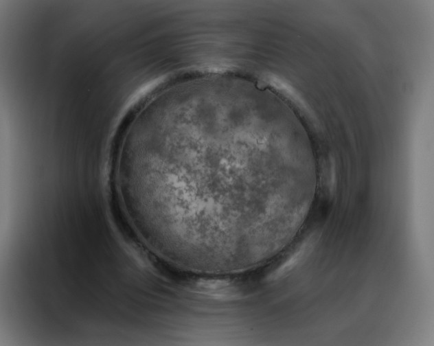 X0000088220440200705221807