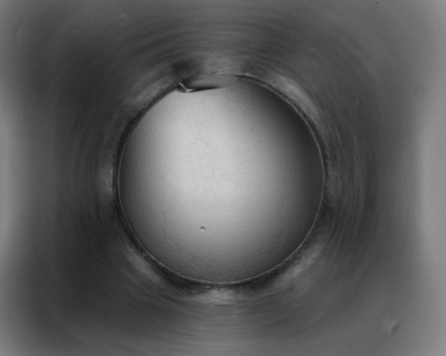 X0000088220441200705221807