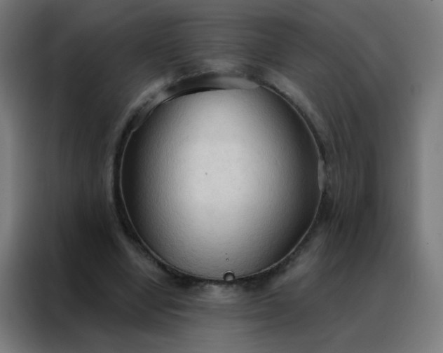 X0000088220442200705221807