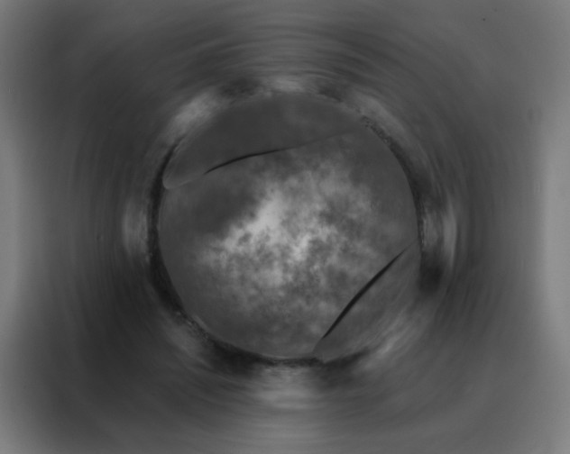 X0000088220444200705221807